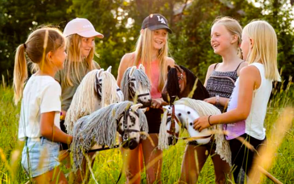 obrazok do textu hobbyhorsing 1