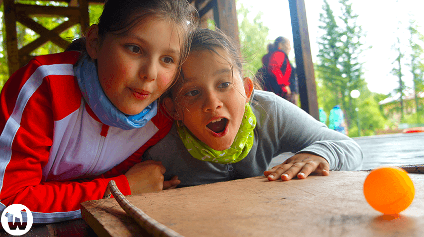 Intro image for Wachumba Evolution camp